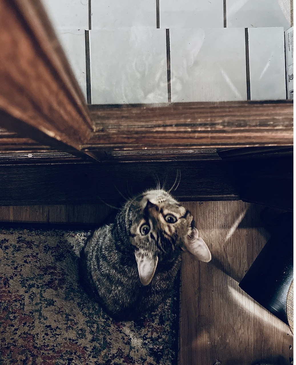 Deep in thought
